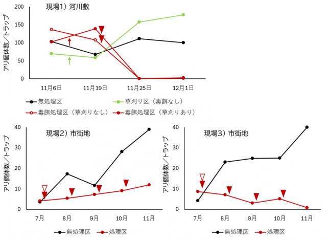 現場1の河川敷、現場2の市街地、現場3の市街地が対象の横軸日付、縦軸アリ個体数/トラップが書かれた折れ線グラフ