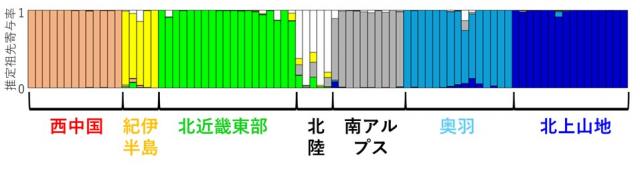 縦軸は推定祖先寄与率、横軸は地域を表した棒グラフ