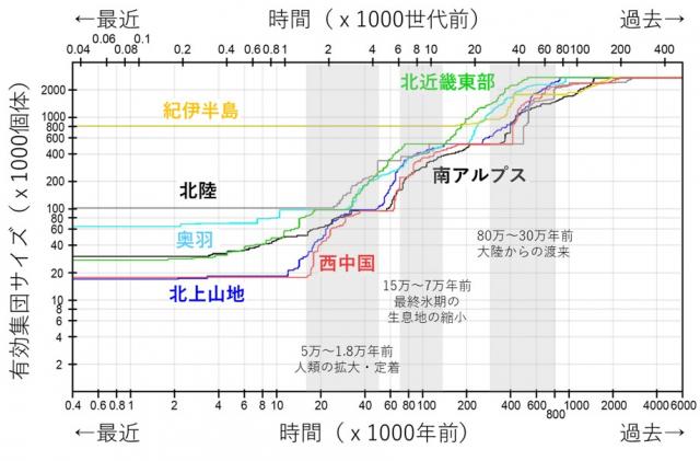 縦軸が有効集団サイズ、横軸は時間軸を表したグラフ図