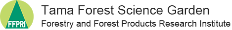 Tama Forest Science Garden Forestry and Forest Products Research Institute