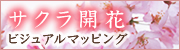 サクラビジュアルマッピング