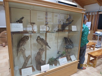 四国支所標本展示館