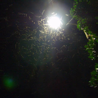 写真2