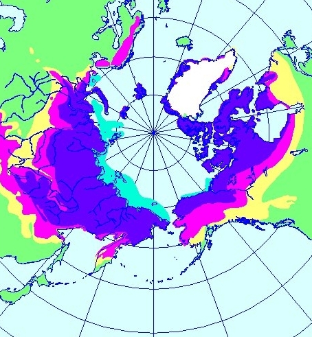 北極からみた永久凍土の分布