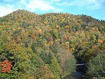 写真1：自然探訪10月 紅葉のナゾ1