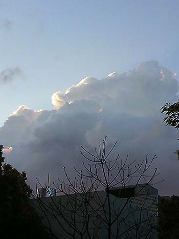 写真1：雄大積雲 森林総研つくば