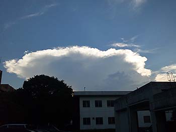 写真2：積乱雲 森林総研つくば