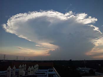 写真3：積乱雲 森林総研つくば