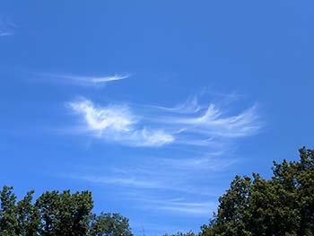 写真4：巻雲 森林総研赤沼実験林