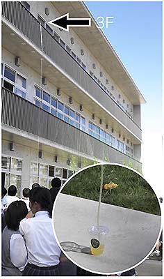 図1 3階（矢印）の高さまでジュースを吸い上げようと挑戦しましたが・・・