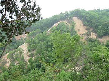 写真1：岩手・宮城内陸地震で発生した山崩れ