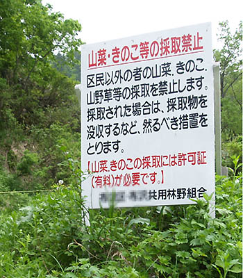 写真5：山菜・きのこ等の採取禁止の看板