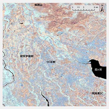 図1：2000年のHansenMap