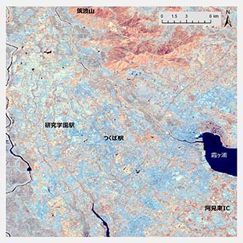 図2：2017年のHansenMap