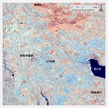 図3：森林域で2000年から2017年に変化が生じた場所を赤く塗っている