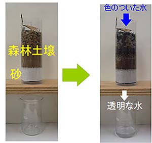 写真2：森林土壌が水をきれいにする仕組みの実験の様子