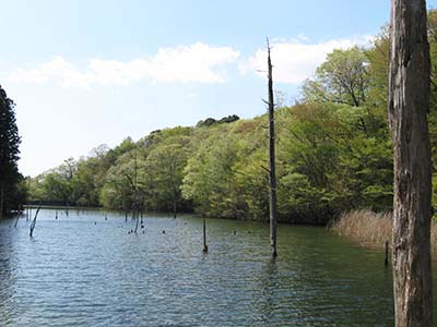 写真2： 愛知県海上の森