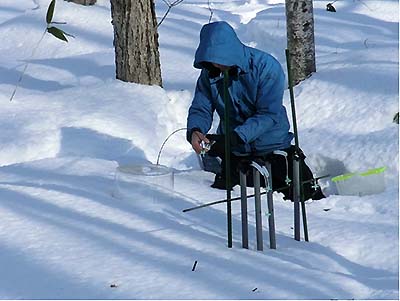 写真2 雪面上の透明な円型容器によるガス観測