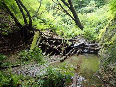 写真1：2号木堰堤（大正5年施工）