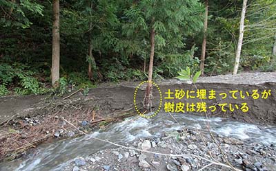 写真4 土砂流出後の渓岸の様子