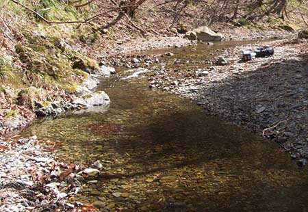 写真1 山林を流れる渓流