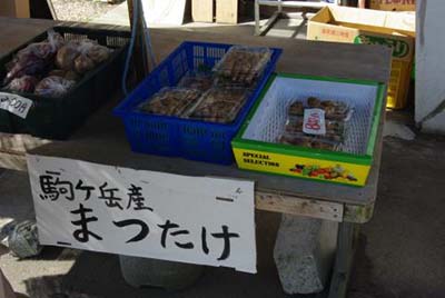 写真2：バカマツタケの販売