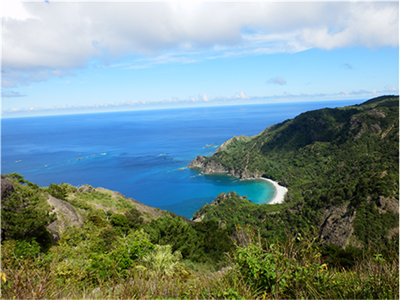 小笠原諸島の尾根部から見渡した様々な樹種が混在して生育している山肌と真っ青で澄んだ海