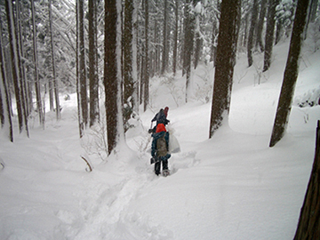 写真1：積雪期も観測を行うため、スノーシューを履いて林内を歩いていきます