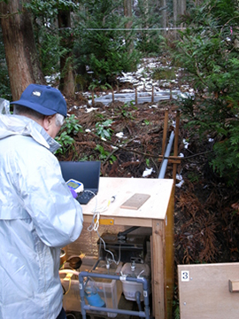写真3：林内に設置された融雪ライシメーターと測器等が入っている観測小屋
