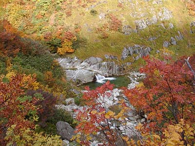 写真2：広河原から大石沢へ向かう途中で見た滝