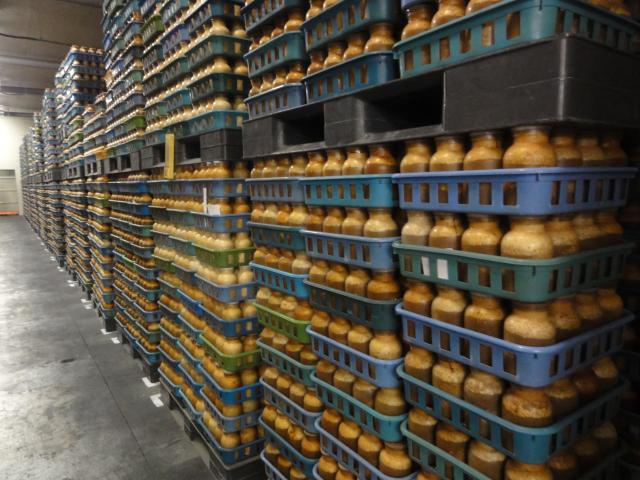 栽培瓶は積み上げられて培養室の天井に届きそうです。