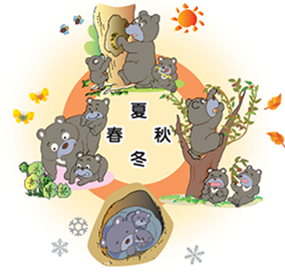 1.クマの食物の季節変化