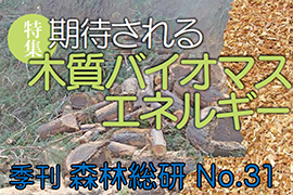 季刊森林総研No.31表紙