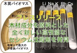 木材成分を原料とした全く新しい高性能なセシウム沈殿剤を発見