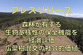 特集16：森林が有する生物多様性の保全機能を経済評価
