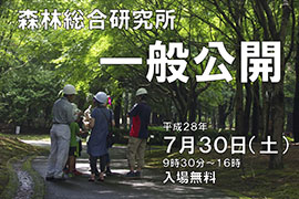2016年一般公開案内