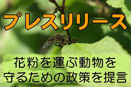 プレスリリース：花粉を運ぶ動物を守るための政策を提言