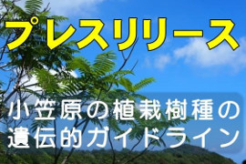 プレスリリース：小笠原の植栽樹種の遺伝的ガイドライン
