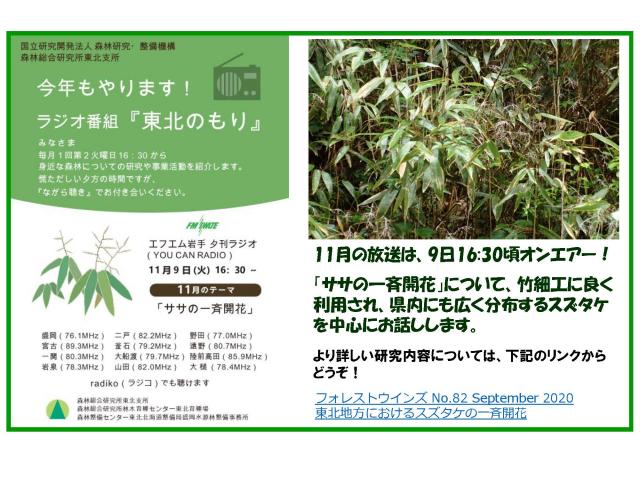 ラジオ番組『東北のもり』令和3年11月9日