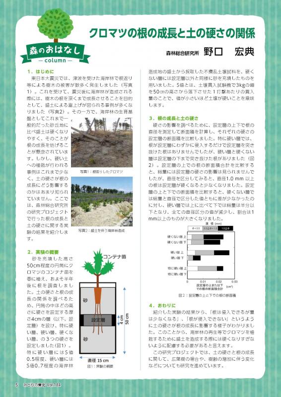 クロマツの根の成長と土の硬さの関係