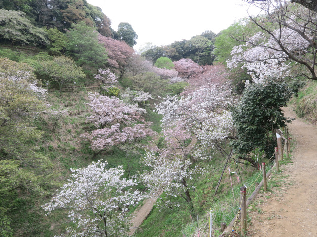 園内の様子（2022年4月14日）