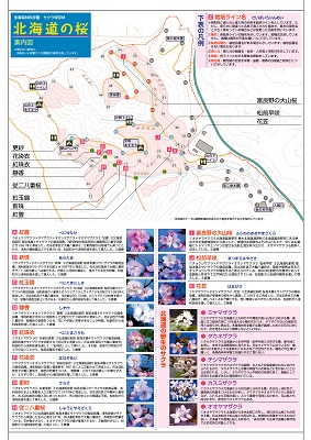 マップ裏