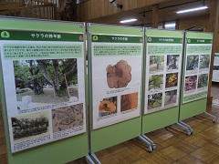 パネル2018