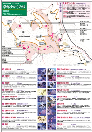 桜めぐりマップ