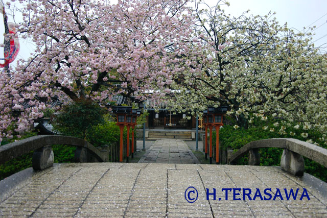 「小さな神社」寺澤秀治