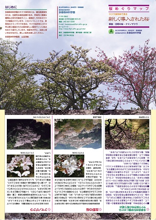 マップ2019_1
