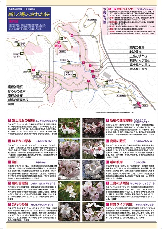マップ2019_2