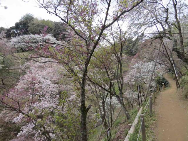 風景2