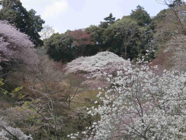 風景3