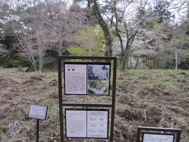 解説板1